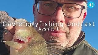 Gävle Cityfishing [upl. by Vange]