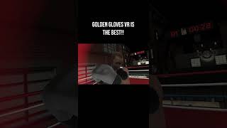 Golden Gloves VR  the best vr boxing game [upl. by Ab]