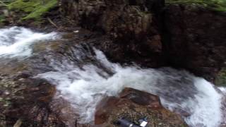 Horse Pasture Brook Falls Nova Scotia [upl. by Mckenna784]