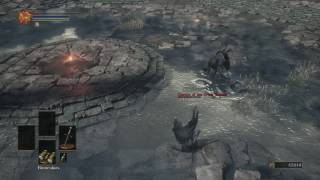 Dark Souls 3  Eygon of Carim vs Cornyx of the Great Swamp [upl. by Gaidano]