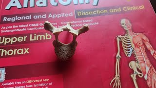 Thoracic Vertebrae Anatomy  Osteology  Mbbs First Year Video [upl. by Eliathas869]