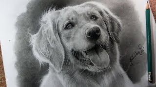 Como DIBUJAR un perro REALISTA🐶► Aprende a hacer PELAJE realista TUTORIAL  Muy fácil😱 [upl. by Denten115]