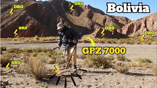 Encontramos ORO en el desierto de Bolivia con GPZ 7000 y Fosiles en la Patagonia de 250 Mill [upl. by Haela874]