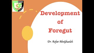 Development of Foregut Full Lecture [upl. by Eidassac]