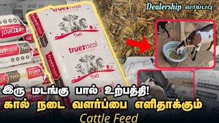 கால்நடை வளர்ப்பை எளிதாக்கும் கால்நடை தீவனம்  LOW COST TMR CATTLE FEED [upl. by Wier]