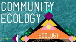 Community Ecology Feel the Love  Crash Course Ecology 4 [upl. by Babita56]