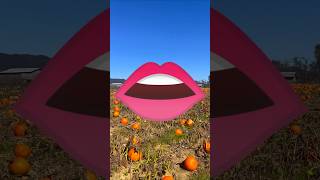 VOICI LINTÉRIEUR DE LA BOUCHE DUNE CITROUILLE😨🎃Shorts citrouille viral youtubeshorts videos [upl. by Ailedamla685]