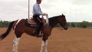 Dale Fredricks Horse Training  Leg Yield Turns on the Forehand and Hindquarters [upl. by Fawne]