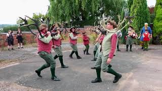 Abbots Bromley Horn Dance at Yeatsall Farm 2023 [upl. by Gearhart]