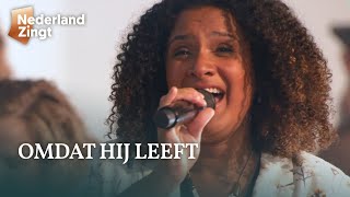 Omdat Hij leeft  Nederland Zingt [upl. by Etnuahs]