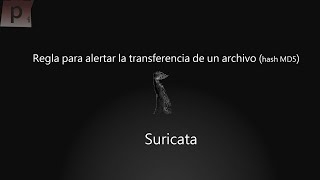 Suricata IDS Creación de regla para detectar hash md5 de archivo [upl. by Ellenaj]