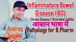 IBD Inflammatory Bowel Disease  Chrons Disease  Ulcerative Collitis [upl. by Spiegel446]