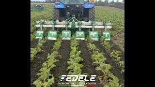 FRESATRICE INTERFILARE FEDELE  MULTI INTER ROW ROTOTILLER MULTIFRESA [upl. by Arraic]