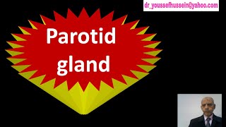 Parotid gland  Capsule Mumps  Structures inside Steensens duct  Freys syndrome  Bells palsy [upl. by Tsenrae787]