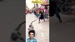 Nagin dance🕺💃 shorts trending trendingshorts viralvideo [upl. by Compte]