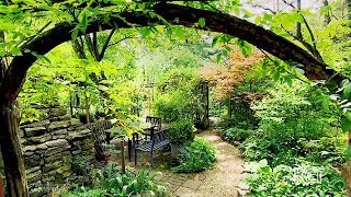 Colorful Woodland Garden Berea USA [upl. by Frazer890]