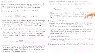 Properties of Enzymes [upl. by Lauryn]