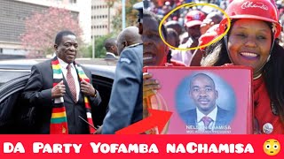 SA DA Party Yofadza Nelson Chamisa Hona Zvataurwa 😳 [upl. by Faxan851]