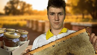 500kg of Honey from 30 Hives  How To Make Whipped Honey [upl. by Jew]