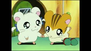 Hamtaro  Dutch Intro  Titellied [upl. by Cosette995]