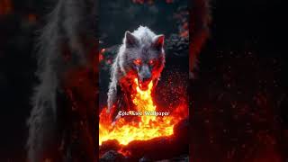 wolf with red eyes 🔥fyp shorts livewallpaper wolfwallpaper wallpaper4k wolf viral [upl. by Michaeu882]