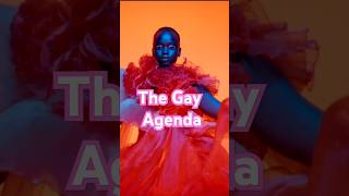 The Gay Agenda Strikes Again podcast jaguar fyp explore comedy [upl. by Ariem]