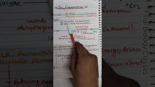 fermentation  types of fermentation Respiration in plant biology 🩺📝 [upl. by Nadler]