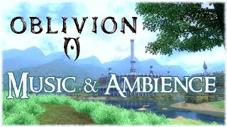 The Elder Scrolls  Oblivion  Battle Music [upl. by Ragse]