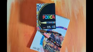 Posca Markers Beginners [upl. by Ahsac]