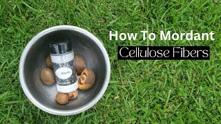 How To Mordant Cellulose Fibers [upl. by Winifield]