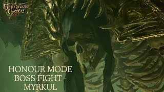 Baldurs Gate 3  4K Honour Mode  Apostle of Myrkul Boss Fight [upl. by Nile]