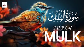 Surah Mulk Relaxing Quran Tilawat  beautiful voice quick Quran سورۃ الملک [upl. by Atival]