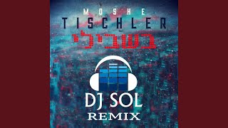 Bishvili DJ Sol Remix [upl. by Losiram814]