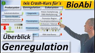 Überblick zur Genregulation bei Prokaryoten und Eukaryoten [upl. by Siaht]