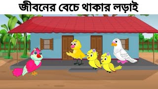 জীবনের বেচে থাকার লড়াই Jiboner Bache Thaker Loray  পাখির কাটুন  Rupkothar Golpo  Cartoon Video [upl. by Hung755]