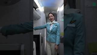 Korean Air Prestige Class Business Class from JFK to ICN on B7478 [upl. by Akinihs]