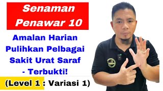 Senaman pulih urat saraf Senaman penawar 10 Level 1 Variasi 1 [upl. by Elraet]