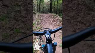 MTB Chasing Trails Colley Bike Park [upl. by Joachim]