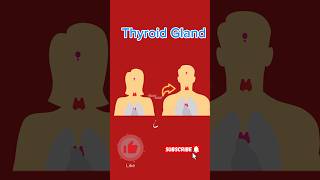 Thyroid Gland viralyoutubeshorts gk facts [upl. by Monagan]