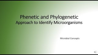 Phenetic and phylogenetic approaches to identifying microorganism  Taxonomy [upl. by Harlin764]