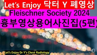 fleischner society glossary thoracic imaging 2024흉부영상용어집5편 2024흉부사진폐암사진Fleischner 胸部影像用語集胸部X線 [upl. by Leseil10]