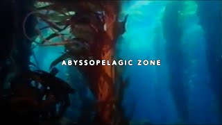 UICIDEBOY  ABYSSOPELAGIC ZONE LYRIC VIDEO [upl. by Leirda]