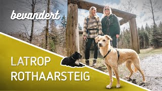 Hundevlog 2  Auf dem Rothaarsteig bis Latrop 🐶  bevandert Vlog [upl. by Bibby]