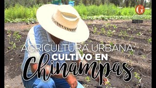 Las chinampas en Xochimilco RutaGourmet [upl. by Anay]