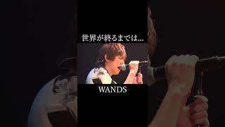 世界が終るまでは  WANDS【歌ってみた】 shorts [upl. by Fulmis]