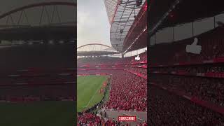 EU Amo BEnfica 38 É Nosso 🔥🦅 [upl. by Samella]