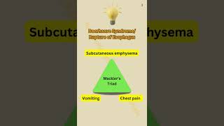 Mackler’s Triad  Boerhaave syndrome [upl. by Anij826]