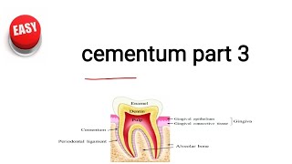 cementum part 3 [upl. by Nagaet557]