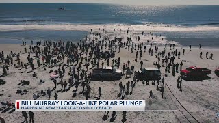 Bill Murray LookALike Polar Plunge on Folly Beach New Years Day [upl. by Belier]