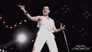 Happy Frisky Freddie Friday 💛❤️🤍 [upl. by Anesusa]